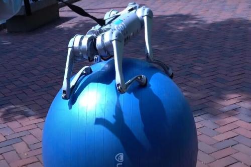کمک انویدیا به سگ های رباتیک برای حفظ تعادل حتی روی توپ بادی