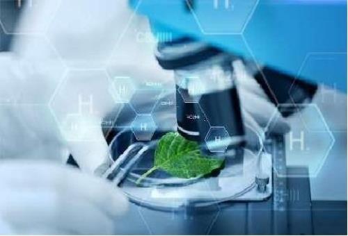 آورده ۱۵ هزار میلیاردی زیست فناوری درسال گذشته