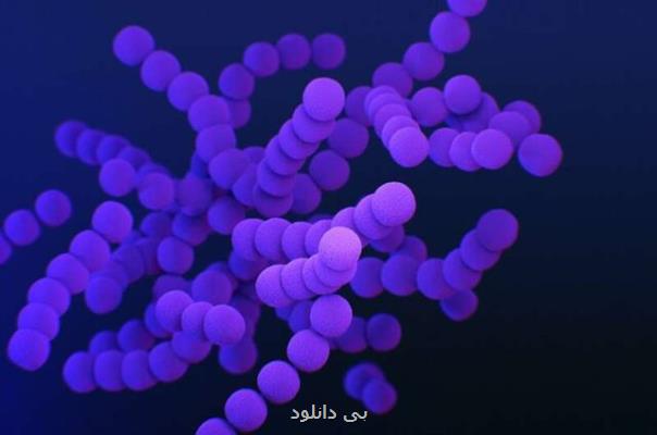 متد جدیدی برای شناسایی داروهای موثر در مقابل باكتری های مقاوم