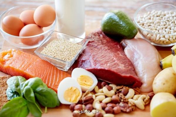 تولید پروتئین خوراکی با اجرای ۲ پروژه ملی تقویت می شود