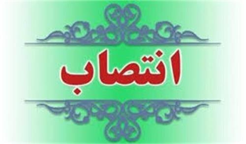 معاون نوآوری و تجاری سازی فناوری انتخاب شد