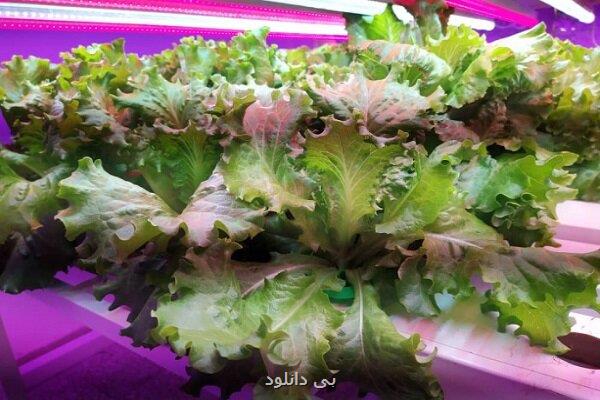 دانشگاه تهران درمیان بالاترین های دنیا در تولیدعلم کشاورزی