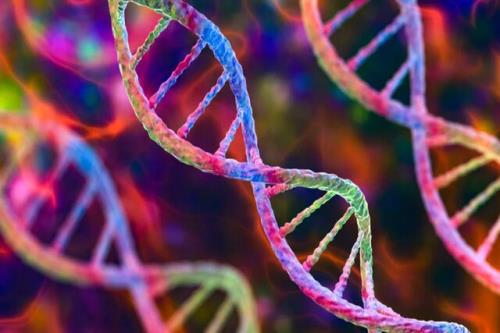9 حقیقت خارق العاده در مورد ژنتیک که شاید ندانید