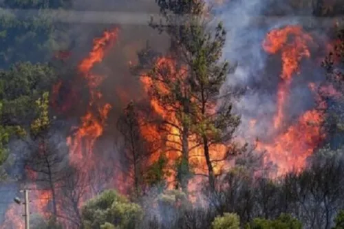 نجات جنگل های هیرکانی از آسمان نقش ماهواره خیام در مهار حریق