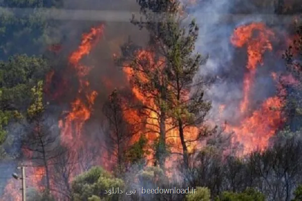 نجات جنگل های هیرکانی از آسمان نقش ماهواره خیام در مهار حریق