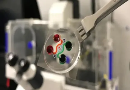 فراخوان معاونت علمی برای پشتیبانی از شرکتهای پیشرو در میکروالکترونیک