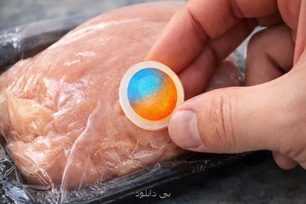 ایروژل های هوشمند برای تشخیص فساد مواد غذایی طراحی شدند