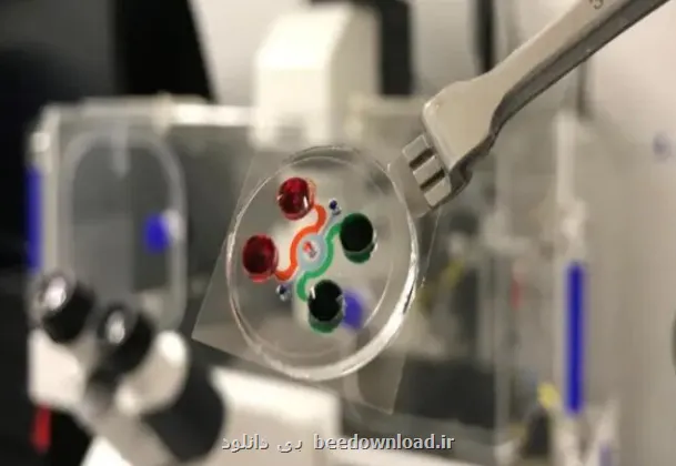 فراخوان معاونت علمی برای پشتیبانی از شرکتهای پیشرو در میکروالکترونیک