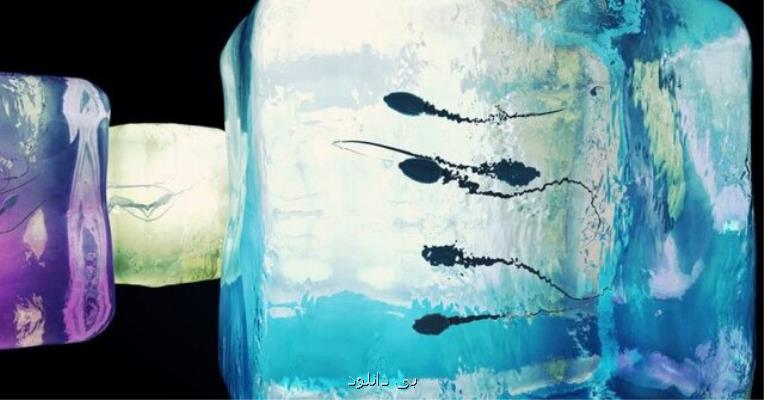 ساخت اولین اسپرم آزمایشگاهی جهان