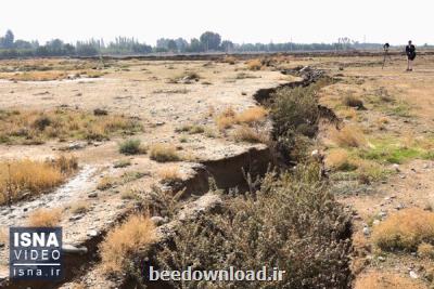 پسته كاری در استانی كه بیشتر از ۸ هزار كیلومترمربع آن دستخوش فرونشست خطرناك می باشد !