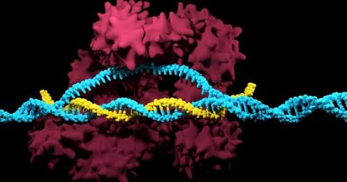 توسعه سیستم اصلاح ژنوم با كمك یك كارت حافظه ژنتیكی
